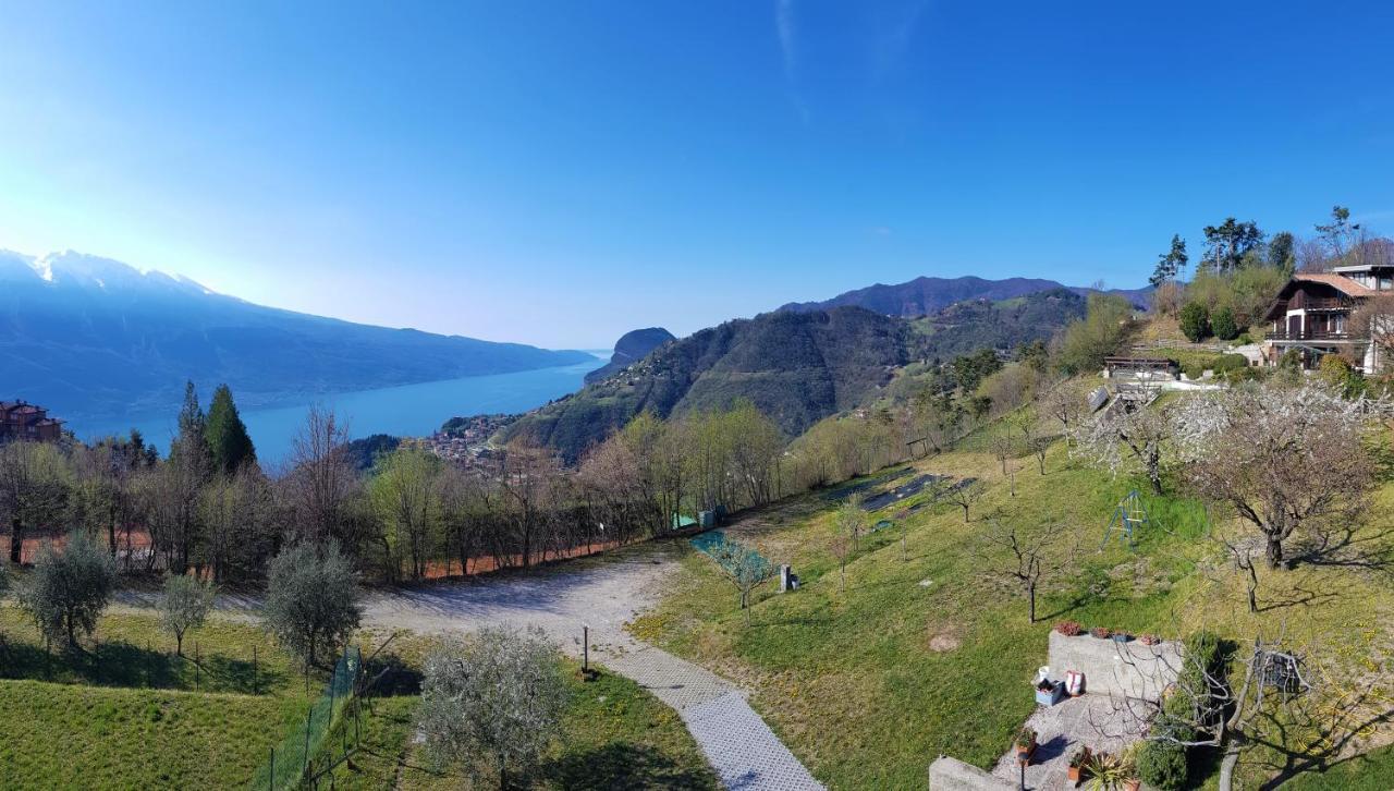 Teresa Campi Apartments Lake View By Gardadomusmea Tremosine Экстерьер фото